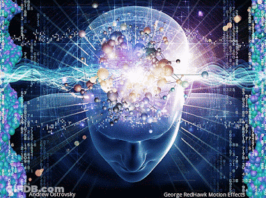 Person Head With Andrew Ostrovsky GIF