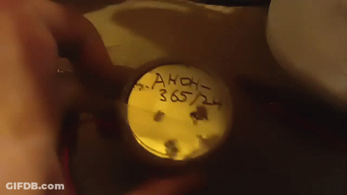 Person Holding Akoh 365/24 Container GIF