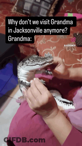 Person Holding Alligator Why Don't We Visit Grandma GIF