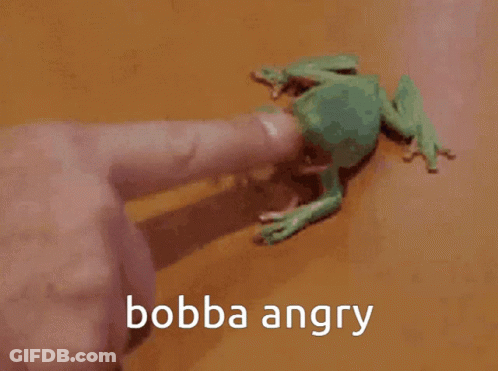 Person Holding Angry Toy Frog GIF