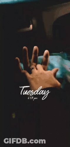 Person Holding Another's Hand Tuesday 6:59 PM GIF