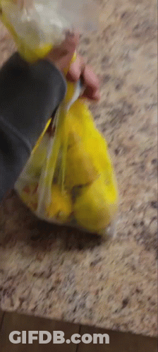 Person Holding Bag Of Lemons GIF