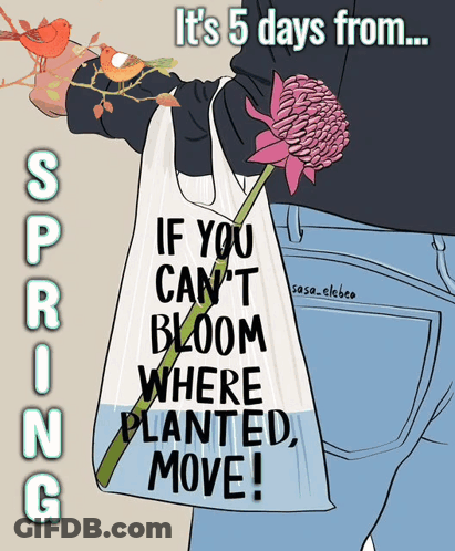 Person Holding Bag Saying If You Can't Bloom Where Planted Move GIF