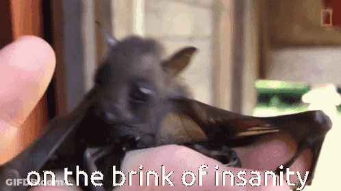 Person Holding Bat On The Brink Of Insanity GIF