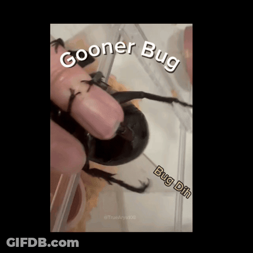 Person Holding Beetle Saying Cooner Bug GIF
