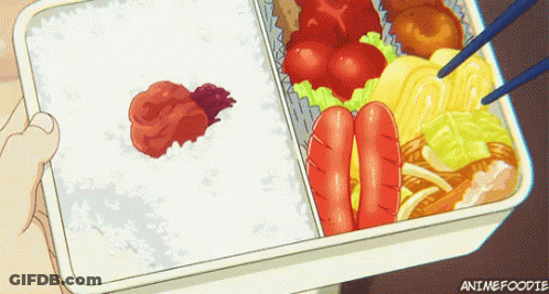 Person Holding Bento Box With Rice Sausages Vegetables GIF