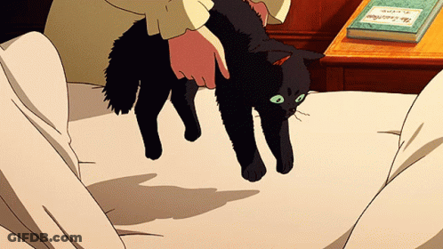 Person Holding Black Cat In Front Of Castle Book GIF