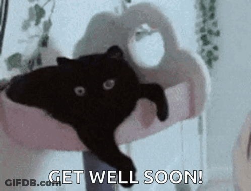 Person Holding Black Cat Saying Get Well Soon GIF