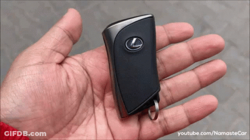 Person Holding Black Lexus Car Key GIF