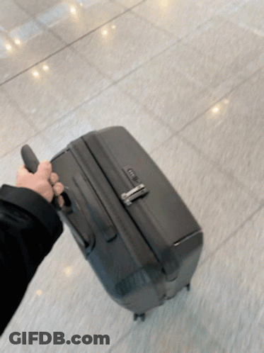 Person Holding Black Suitcase With Zipper GIF