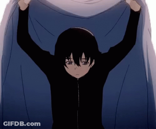 Person Holding Blanket Over Head Arms Outstretched GIF