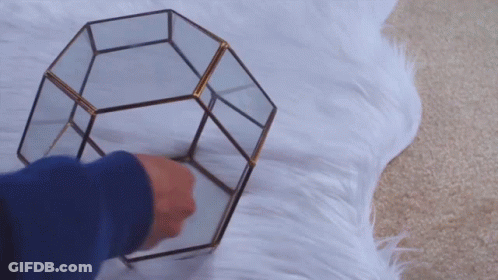 Person Holding Blue Ball In Glass Container GIF