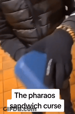 Person Holding Blue Object With The Pharaos Sandwich Curse GIF