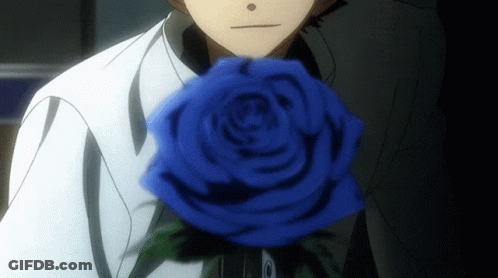 Person Holding Blue Rose GIF