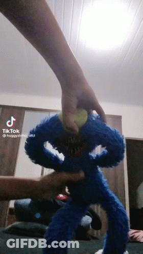 Person Holding Blue Stuffed Animal With Face GIF