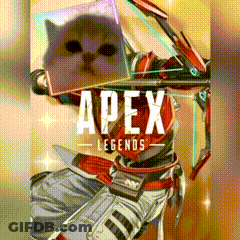 Person Holding Bow And Arrow With Cat Behind GIF