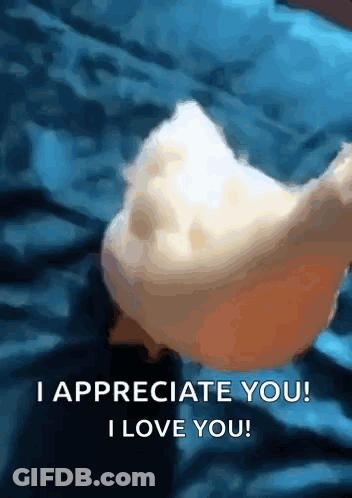 Person Holding Bread Saying I Love You GIF
