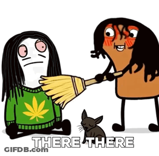 Person Holding Broom Next To Cat There There GIF