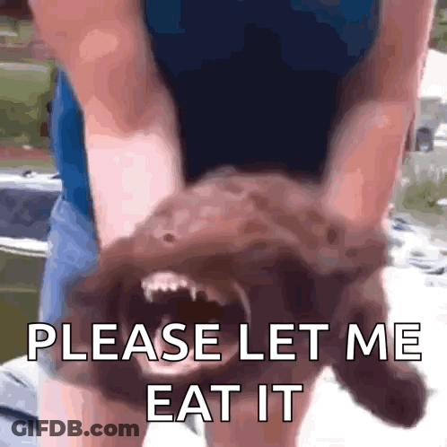 Person Holding Brown Dog Saying Please Let Me Eat It GIF