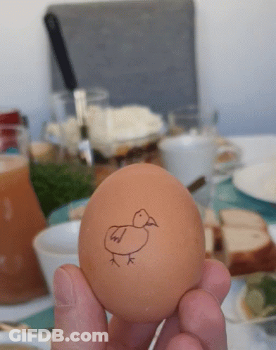 Person Holding Brown Egg With Chicken Drawing GIF