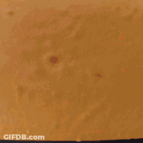 Person Holding Brown Paper With Hole GIF