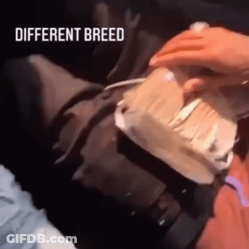 Person Holding Cake Saying Different Breed GIF