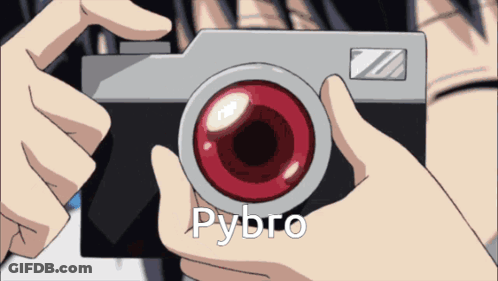 Person Holding Camera With Pybro GIF