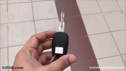 Person Holding Car Key GIF