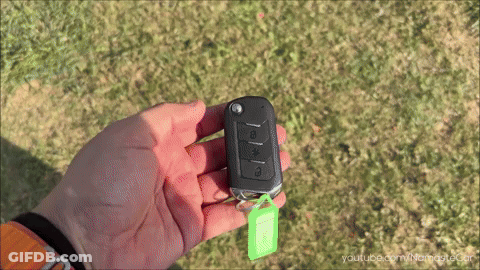 Person Holding Car Key With Green Tag Youtube GIF