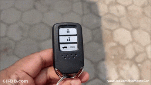 Person Holding Car Key With Hold Button GIF