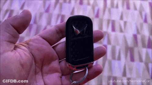 Person Holding Car Key With Namastecar GIF