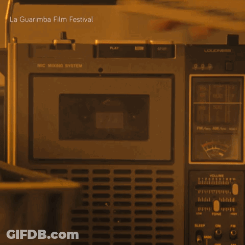 Person Holding Cassette Tape At La Guarimba Festival GIF