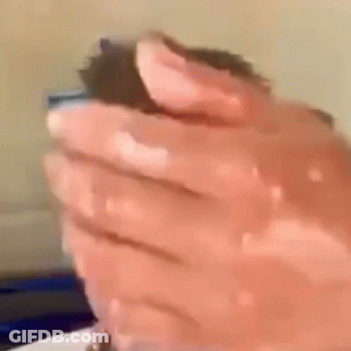 Person Holding Cat GIF