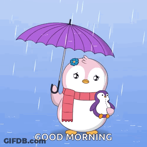 Person Holding Cat 10/10 Very Squish Floppy Is Hot GIF