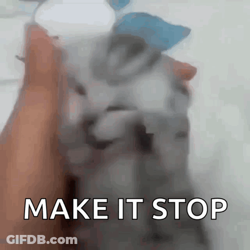 Person Holding Cat Saying Make It Stop GIF
