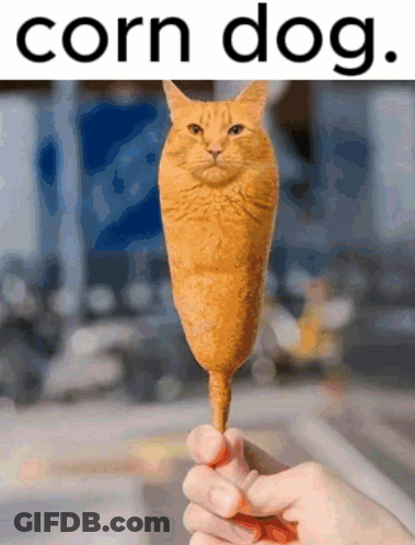 Person Holding Cat Shaped Corn Dog GIF