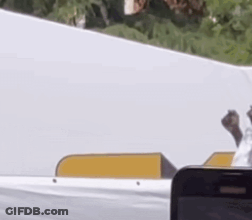 Person Holding Cell Phone GIF