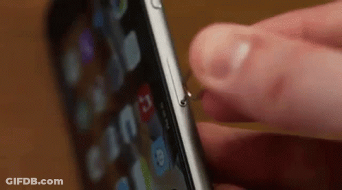 Person Holding Cell Phone GIF