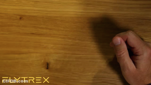 Person Holding Cell Phone With Flytrex Logo GIF
