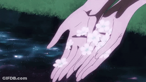 Person Holding Cherry Blossoms Over Water GIF