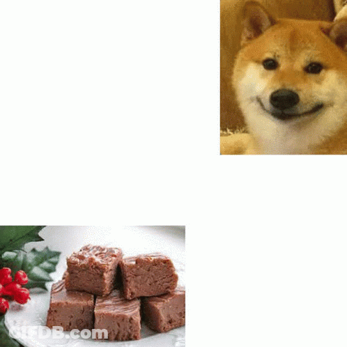 Person Holding Chocolate Fudge Brownie Ice Cream GIF