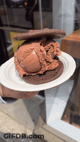Person Holding Chocolate Ice Cream And Cookie GIF