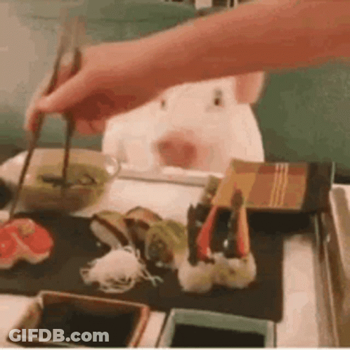 Person Holding Chopsticks Over Food With Pig Behind GIF