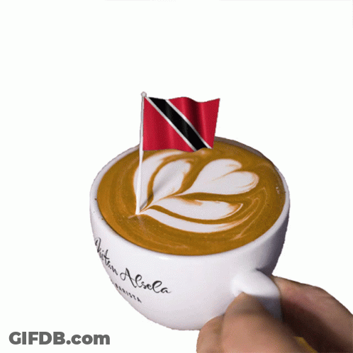Person Holding Coffee Cup Saying Aliola GIF