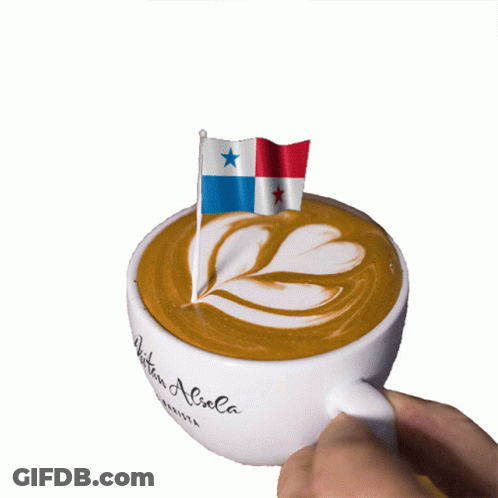 Person Holding Coffee Cup With Flag GIF