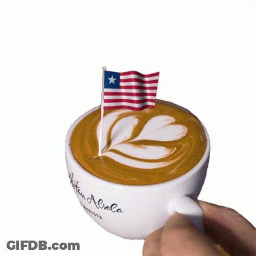 Person Holding Coffee Cup With Flag GIF