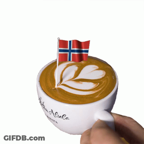 Person Holding Coffee With Norwegian Flag GIF