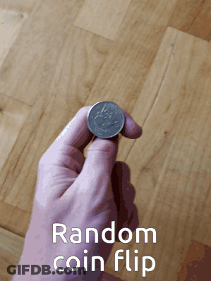 Person Holding Coin With Random Coin Flip GIF