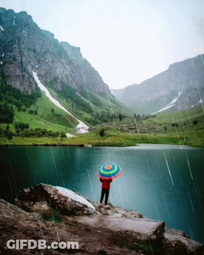 Person Holding Colorful Umbrella In Rain Near Lake GIF