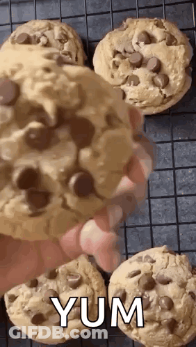 Person Holding Cookie With Yum GIF